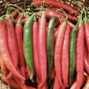 A basket filled with fresh red and green chili peppers.